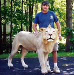 African Game Taxidermy