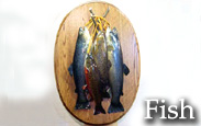 Fish Taxidermy